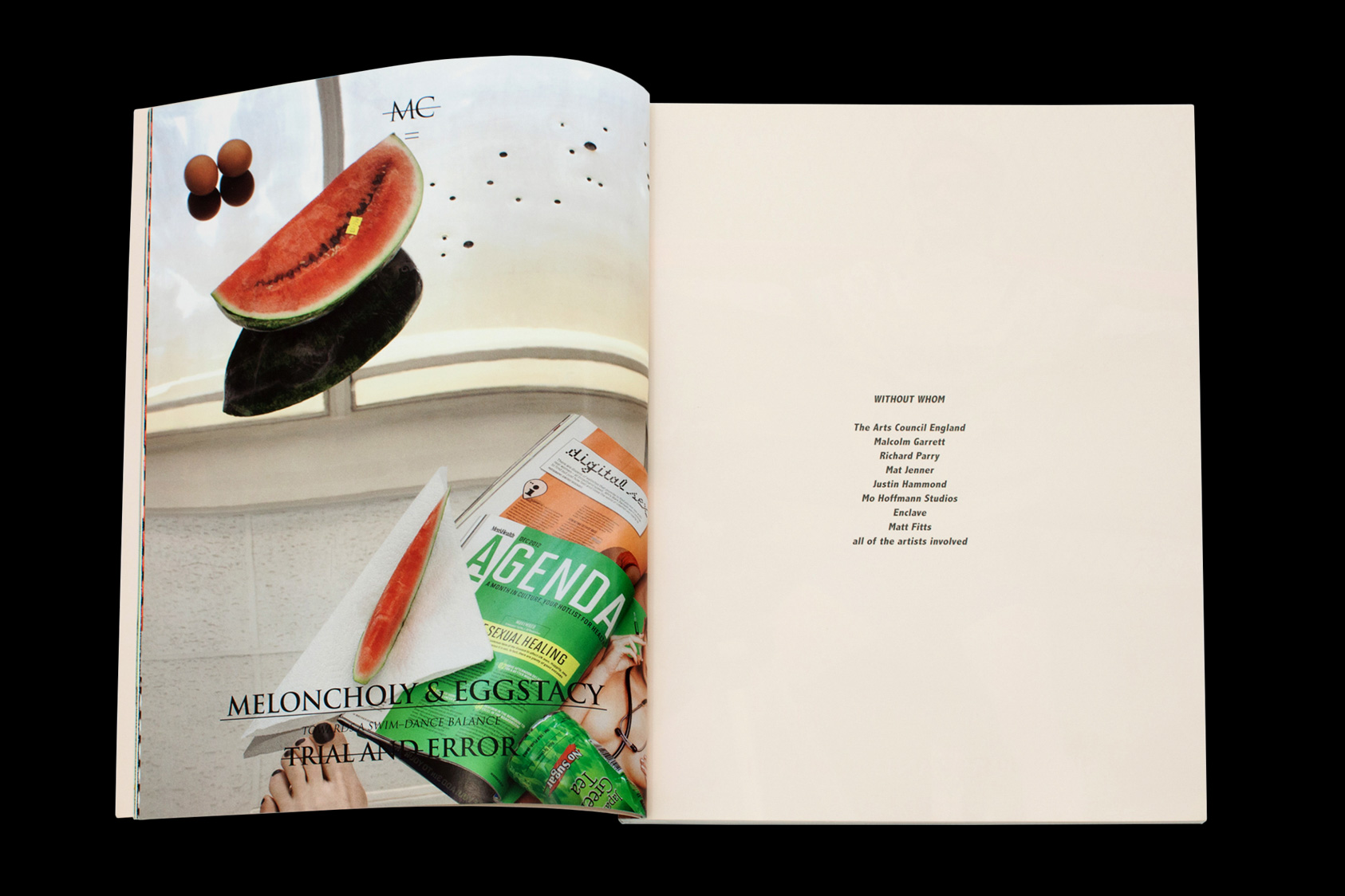 Misery Connoisseur Magazine Issue 2  by the agency for emerging ideas